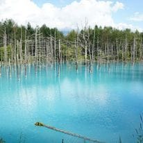 北海道の風景、観光地の写真撮りに行きます ご要望のシチュエーションで撮影できます イメージ3