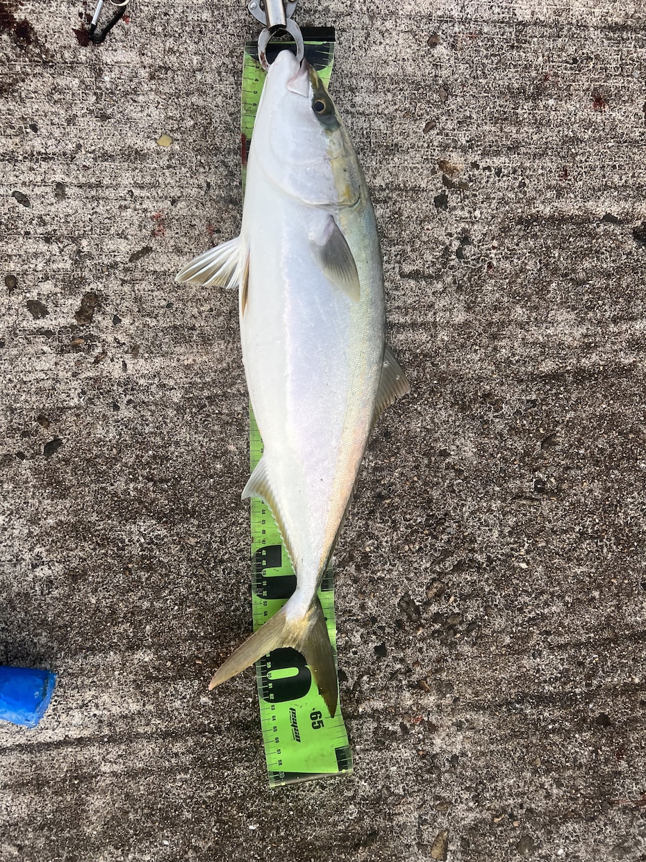 完全初心者向け、釣りの楽しさ教えます 釣り歴20年の私が釣りの全てを伝授いたします！ イメージ4