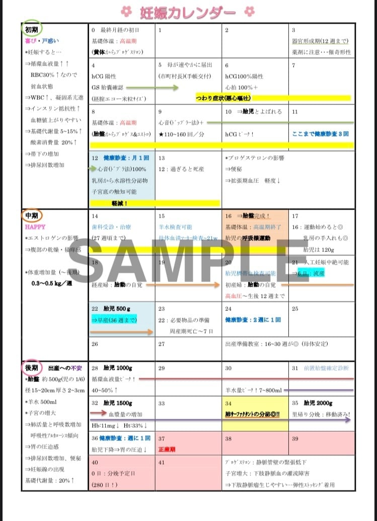 母性・小児看護学の学習に役立つ資料を販売します 実習・国試対策に！妊娠〜出産〜小児の発達をまとめたカレンダー イメージ3
