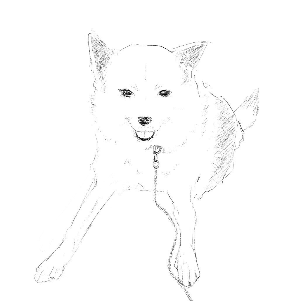 人間、ペットなど　あなたの希望描きます あなただけのイラストを心を込めてお描きします！ イメージ4