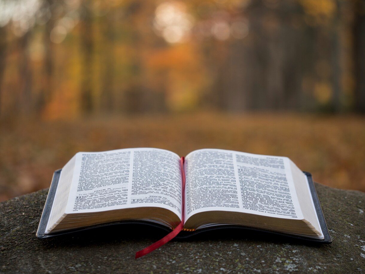 あなたの小説を読み、感想・講評いたします 他人の意見がほしいとき、どうぞご利用ください イメージ1