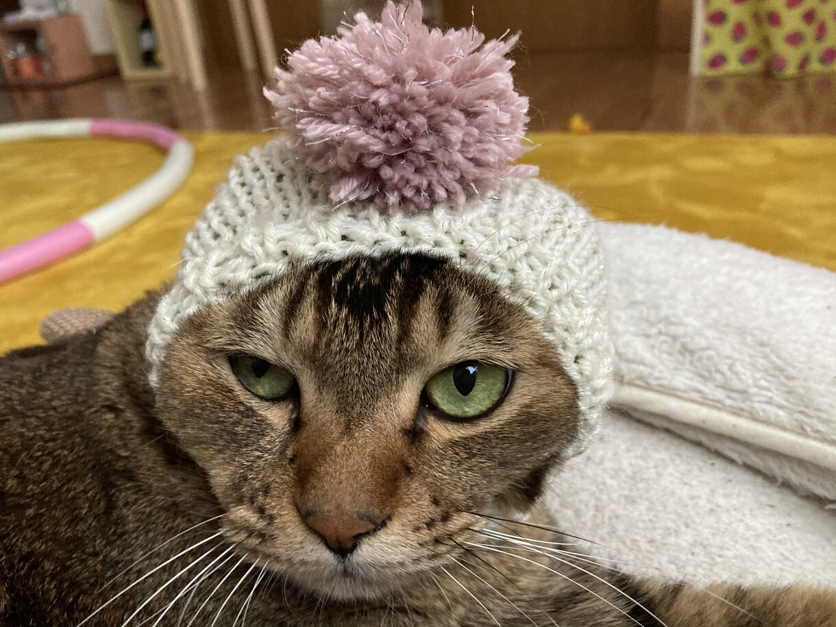 編み物代行してお編みいたします ワンちゃん（犬）ネコちゃん（猫）ベビー（赤ちゃん）ニット イメージ5