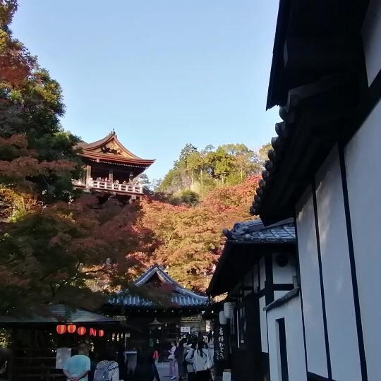寂しい時、つらい時話を聞きます メンタル心理カウンセラー資格有、元幼稚園教諭です。 イメージ1