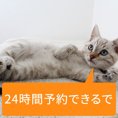 悩み相談。恋愛やお金の悩みも。電話で悩み相談します 関西弁の若造が、あなたの悩みに心から寄り添います。 イメージ2
