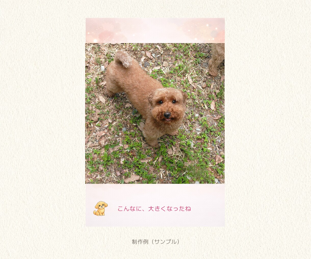 ペットの想い出を絵本ムービーにします ペットとのお別れや記念日をそっと彩る動画 イメージ4