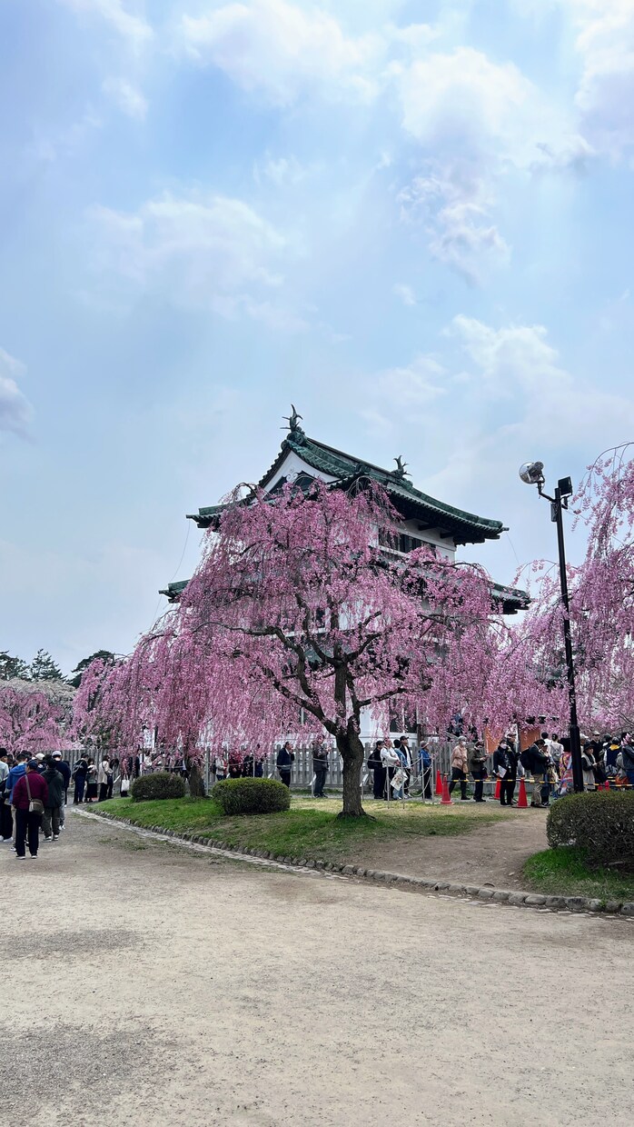 あなただけの東北旅行のベストなプランを作ります 東北6県を実際に巡った本人が最高の旅をご提案します！ イメージ4