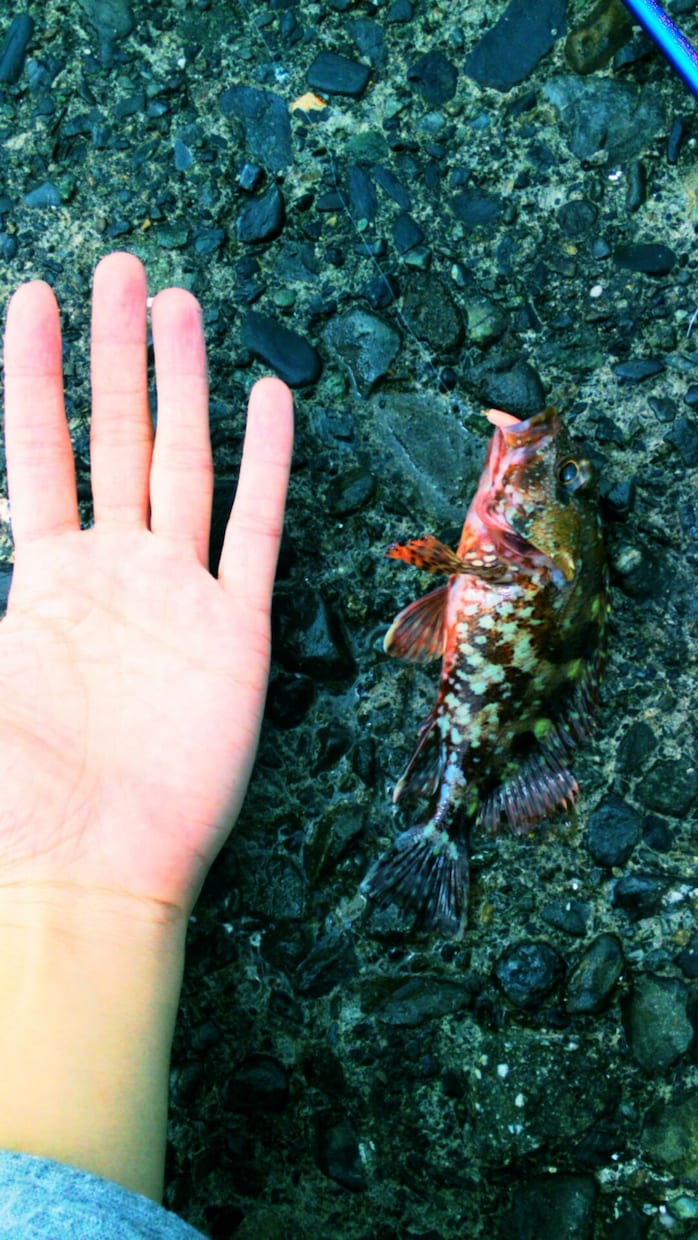 沼津のオススメ釣りポイント教えます！ イメージ2