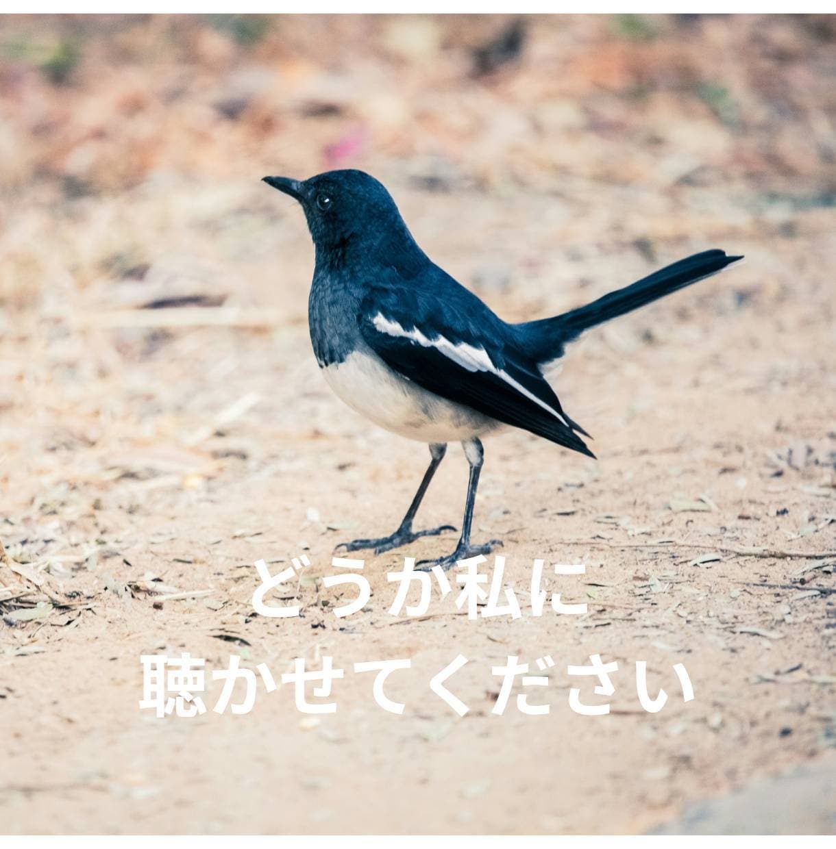 ひきこもり・生きづらさを抱えるあなたのお話聴きます 元当事者が聴くチャット相談【1日チャット・メッセージ無制限】 イメージ7