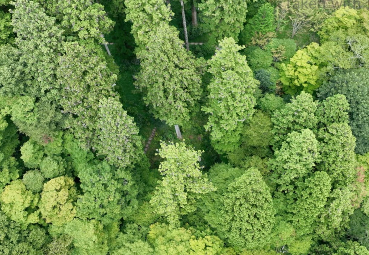 ドローン空撮(4K/HD)愛知県近郊で対応します 元番組Dが意向を汲んだ映像づくりをお手伝い イメージ4