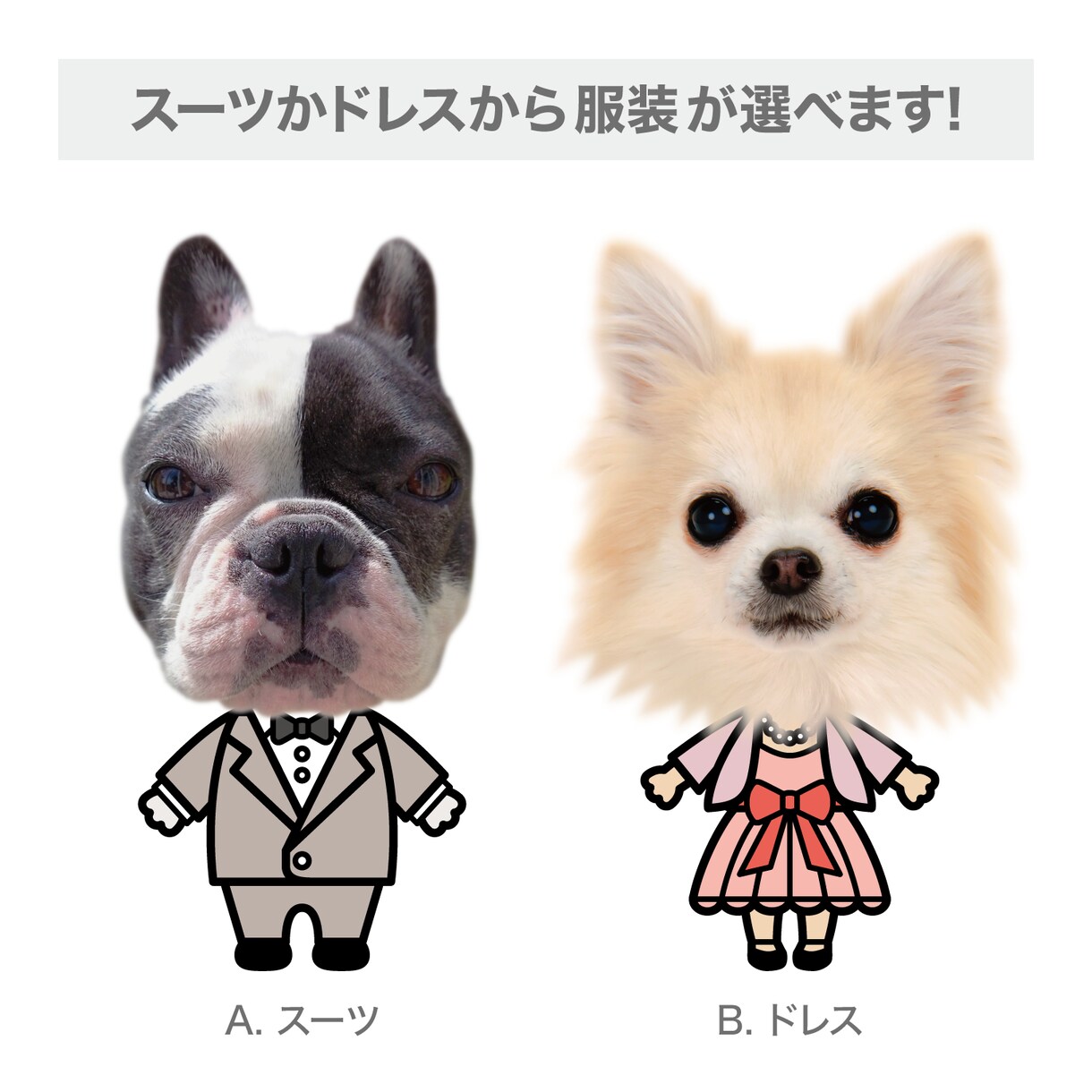 ペット（犬　猫）の画像でウェルカムドールを作ります 結婚式に大切なうちの子（愛猫、愛犬等）と一緒に参加しませんか イメージ3