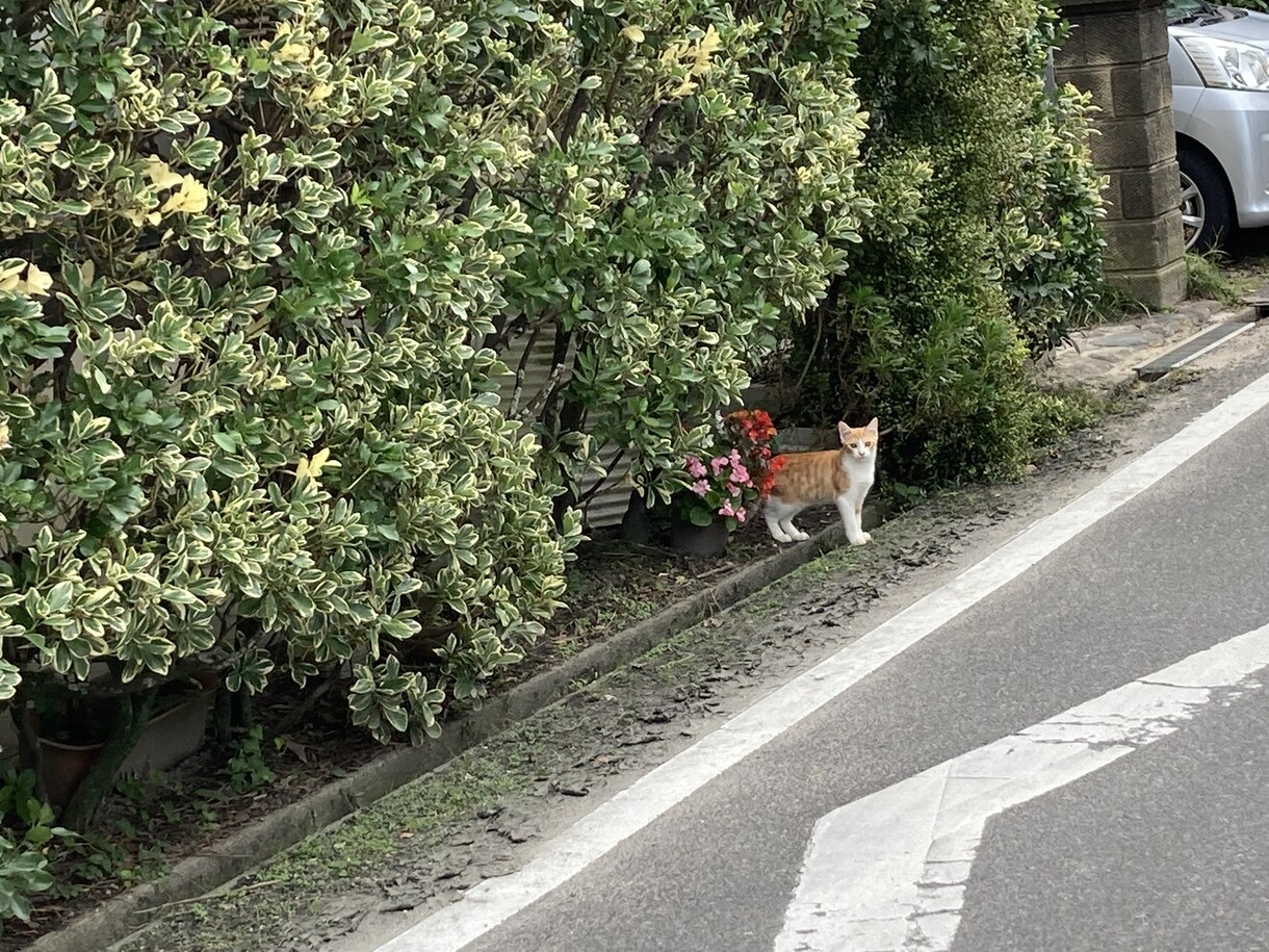 忙しいあなたに代わり、旅程表を作成します 旅行先の情報をお調べ致し、まとめます。あなたは行くだけ♪ イメージ1