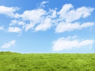 あなたの想いを全て受け止めます あなたの心に寄り添えるカウンセリングをします。 イメージ1
