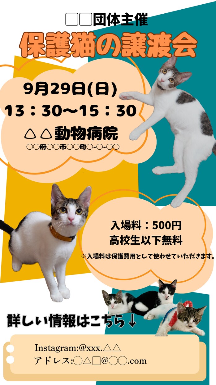 Canva保護猫譲渡会の簡単SNSチラシ作ります 譲渡会チラシで保護猫ちゃんの里親さん見つけませんか? イメージ3