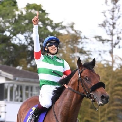 競馬のAIを提供・サービス化までサポートします AI予測、期待値計算まで行うソフトを提供、カスタマイズします イメージ1
