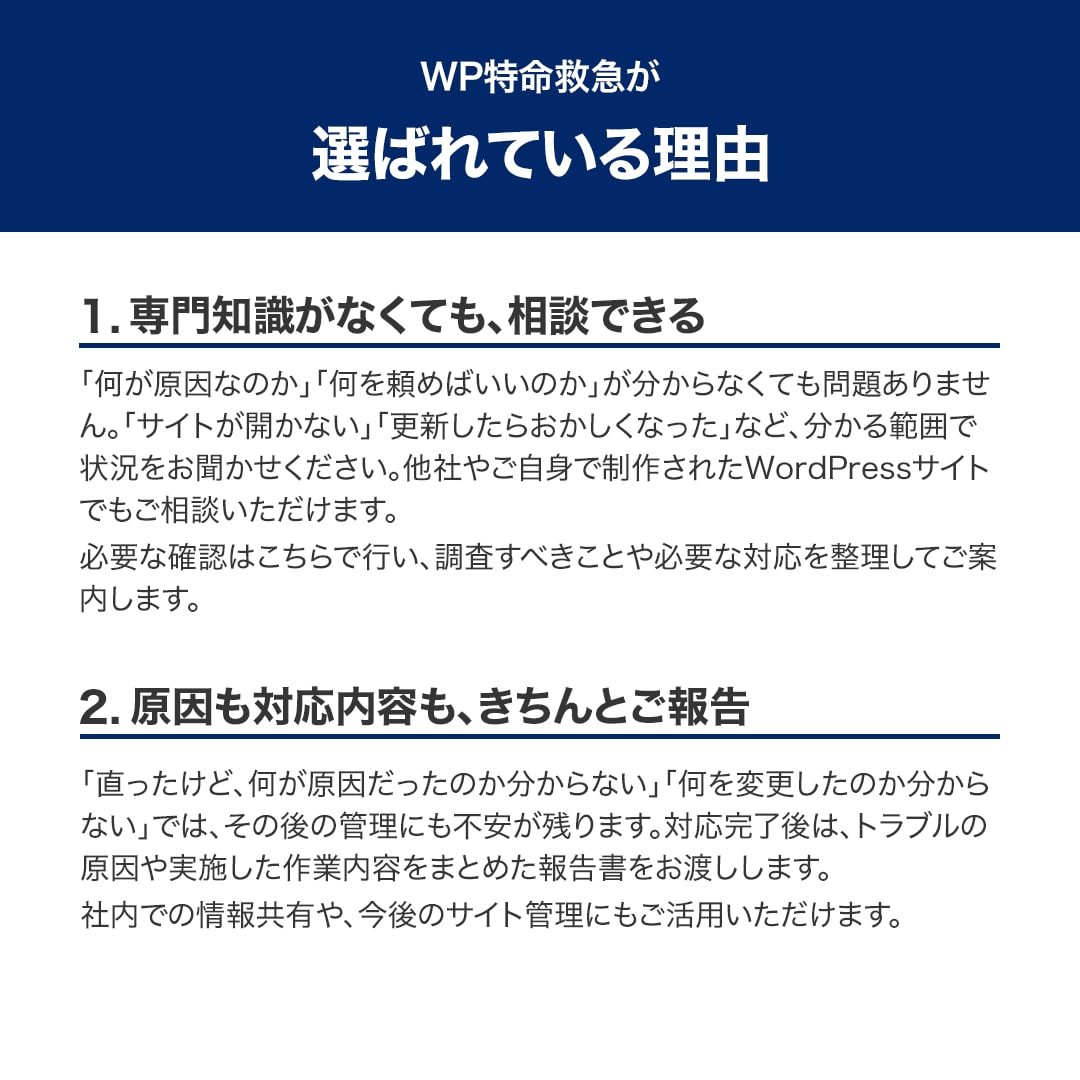 WordPressの不具合・エラーの原因調査します 原因不明・他社制作もOK！必要な対応まで詳しくご報告 イメージ5