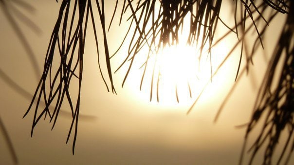あなたのお悩みに高次の視点からお答えします 健康、恋愛、仕事、対人関係、お金、スピリチュアル イメージ1