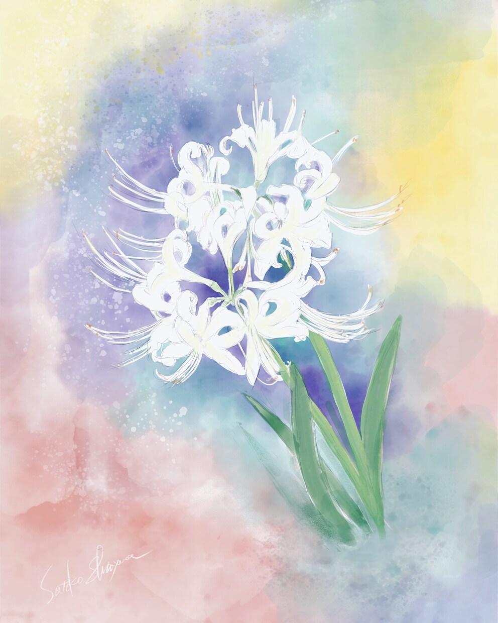 大好きなお花をデジタル水彩画で描きます 季節に合わせたお花を絵葉書にしてみませんか イメージ6