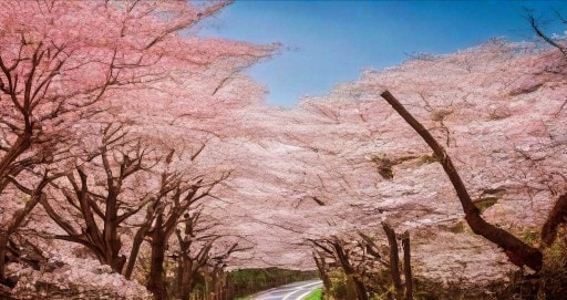 広島弁〗誰かと話したい時間1分からお受けします 方言の低音ボイスもたまにいいじゃろ♡/気軽にどうぞ♪ イメージ5