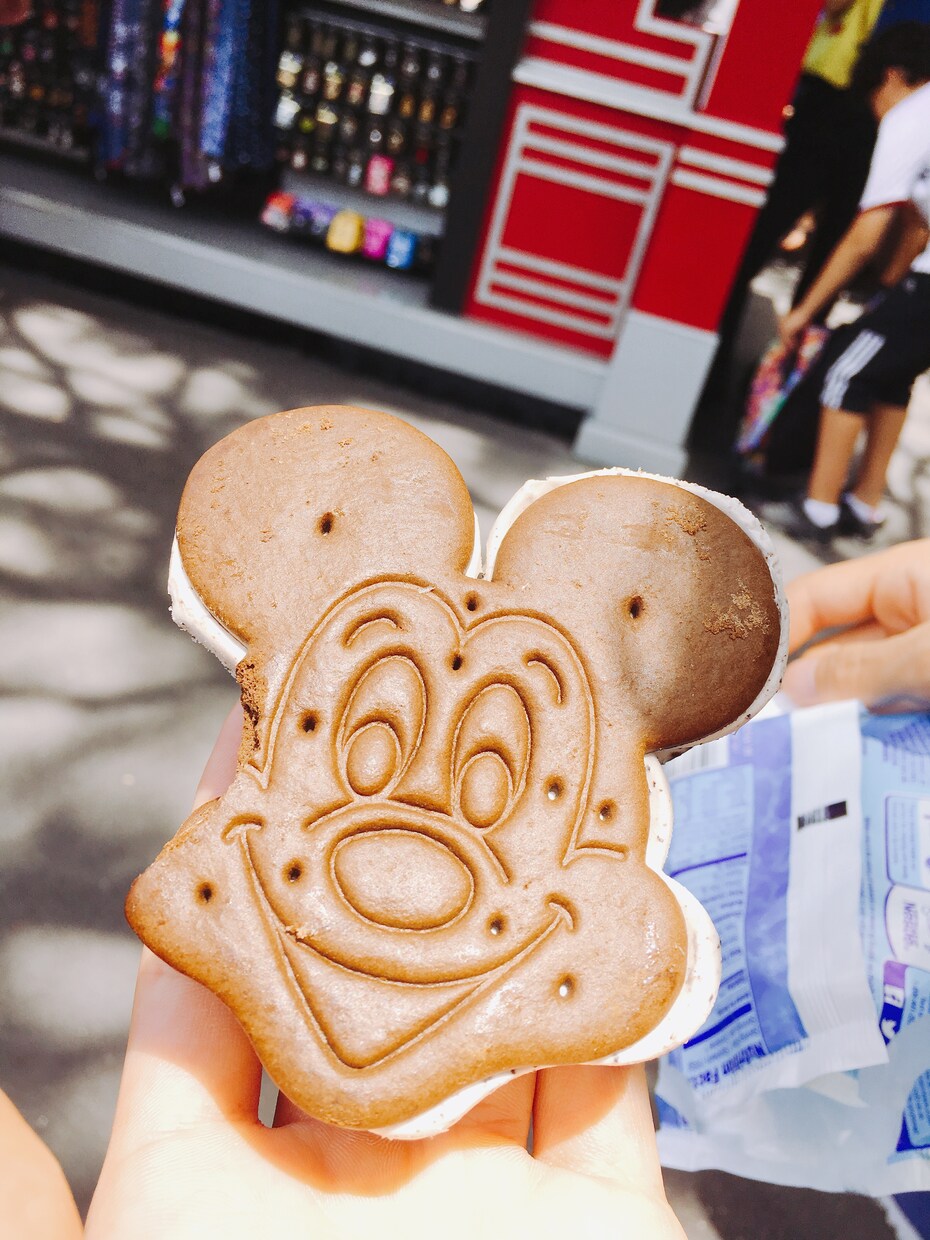 ディズニーワールド旅行、一緒に考えます ディズニーワールド(フロリダ)に行く予定のある方！ イメージ1