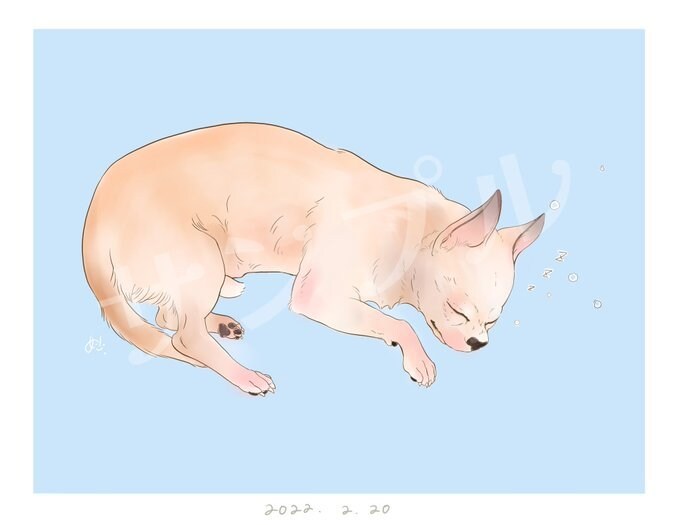 ペットの似顔絵・動物・子供のイラスト描きます 子供や動物、女の子などやわらかいタッチのイラストが得意です イメージ4