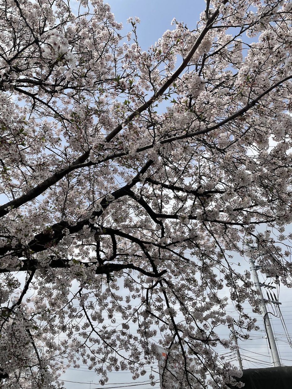 なんでも話して♡心の声✨お聴きします 話すことで楽に☘️明日を笑顔に❣️女性大歓迎✨ イメージ6