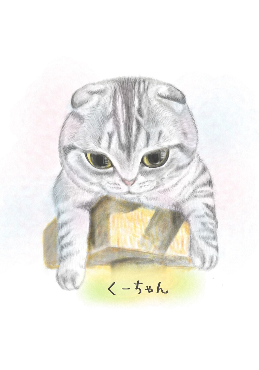 ほのぼのタッチで可愛い似顔絵を描きます 愛を込めて、細かいところも描き込みます！ イメージ5