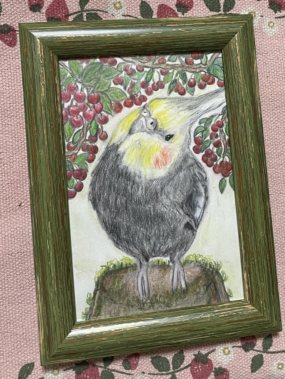 オーダーメイド色鉛筆画　世界に一つの原画になります 愛鳥や野鳥を色鉛筆でひと塗りひと塗りリアルに仕上げます。原画 イメージ6