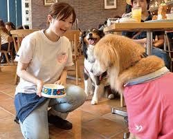 アニマルコミュニケーターデビューへの道筋伝授します 動物と関わることを仕事にするための超具体的ステップを解説 イメージ9