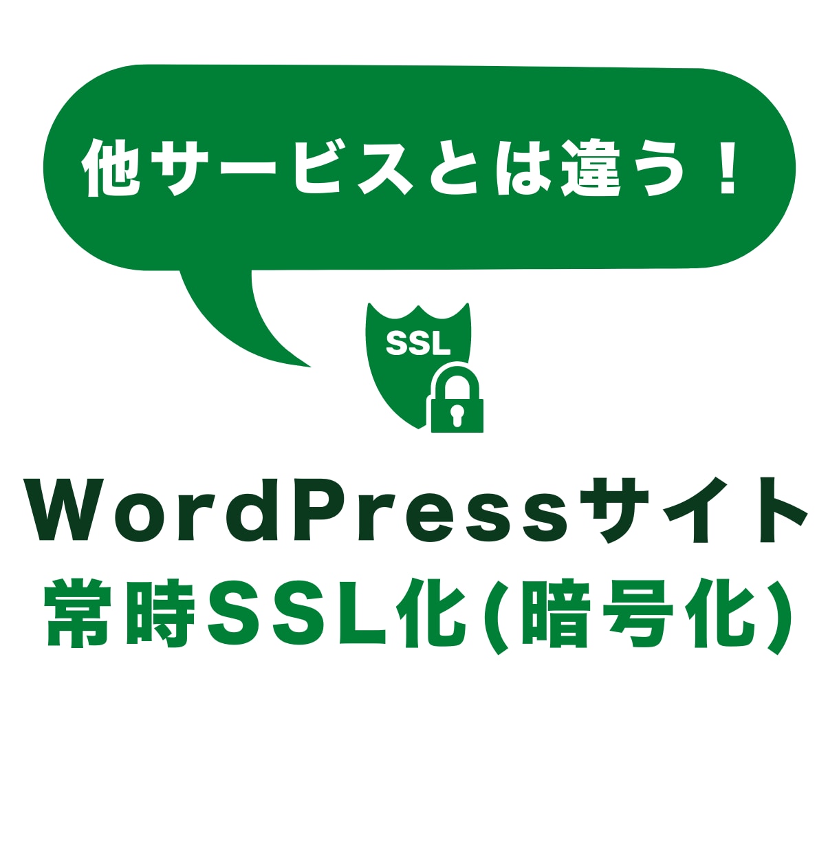 WordPressサイトに常時SSL化を設定します あなたのWordPressサイトのSSL化します イメージ1