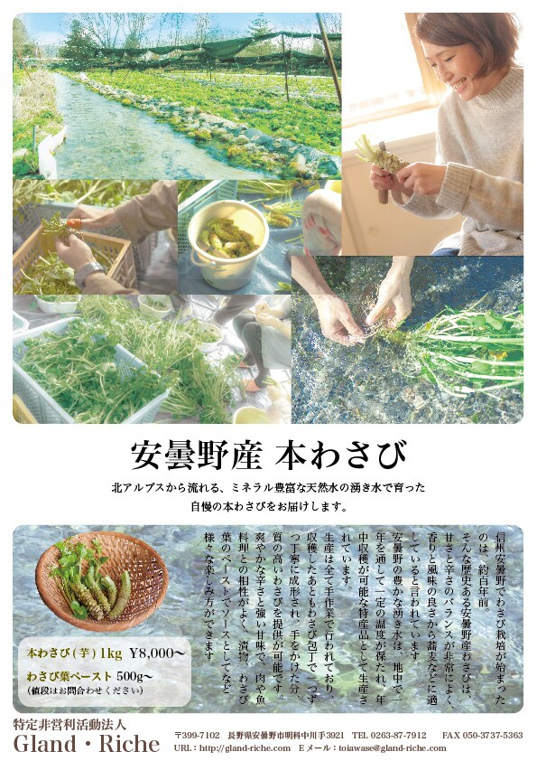 限定お試し！チラシ、フライヤーデザイン承ります お客様のイメージをしっかりヒアリングしてデザインします！ イメージ1