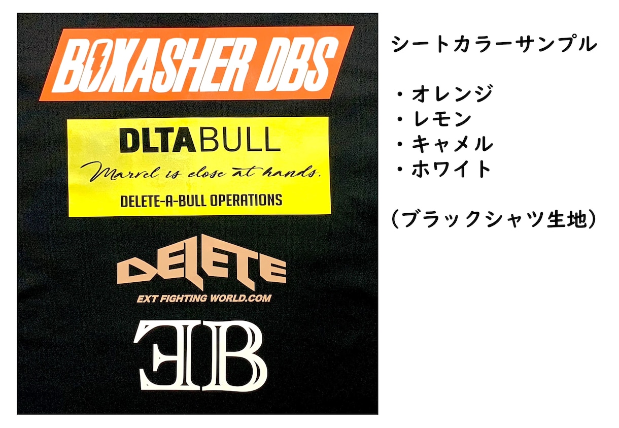 アイロンプリントシートを作成します チームシャツ、ぜっけんネームなどにおすすめです!! イメージ7