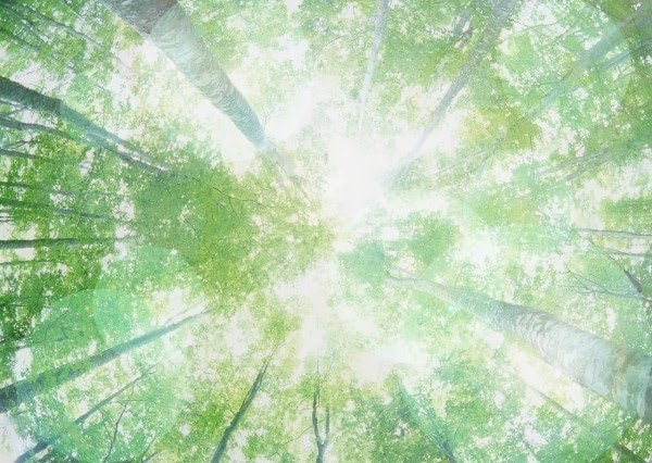 心が元気のない方お話し聞きます 私自身も心の病に悩んでいます。一度一緒に話してみませんか？ イメージ1
