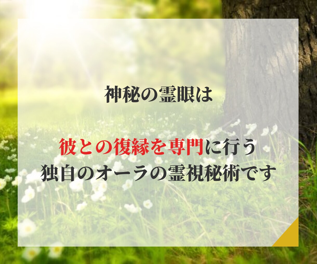 真剣な方限定・神秘の霊眼で【復縁】について占います 再び彼に溺愛されたい方へ本気でサポート｜霊視占術をいたします イメージ6