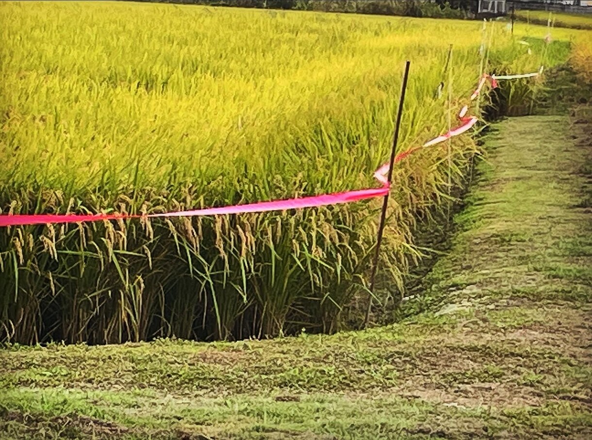 静かな奈良旅をご提案します 観光だけでは出会えない奈良があります。 イメージ6