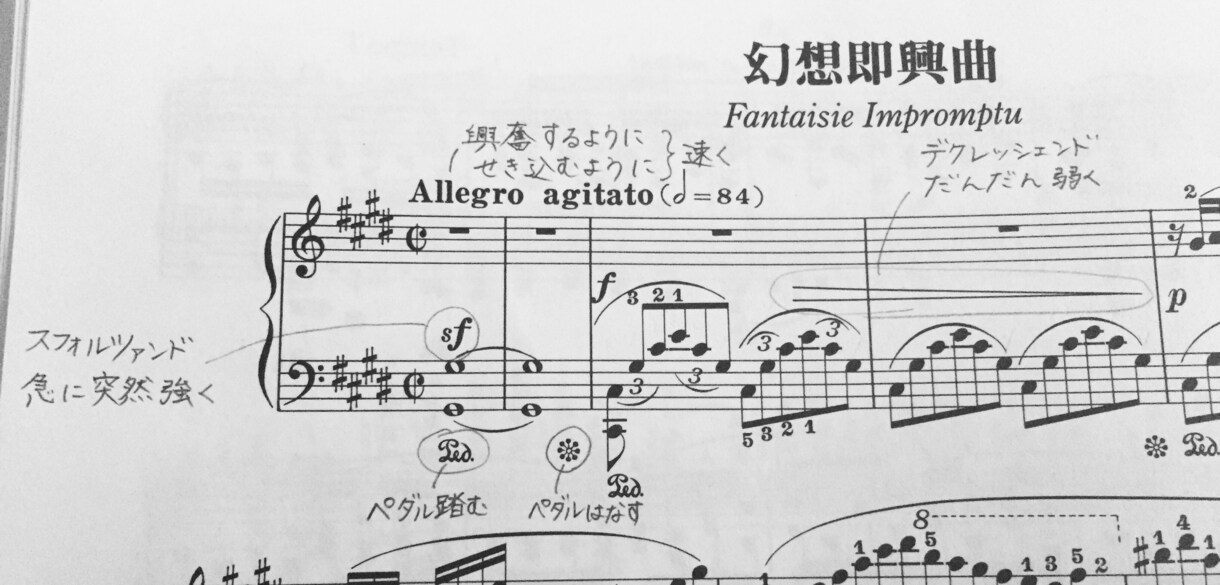 有名音大卒者が1ページ500円でドレミ音名書きます 初級〜上級、クラシック・ポップスなんでも対応できます！ イメージ4
