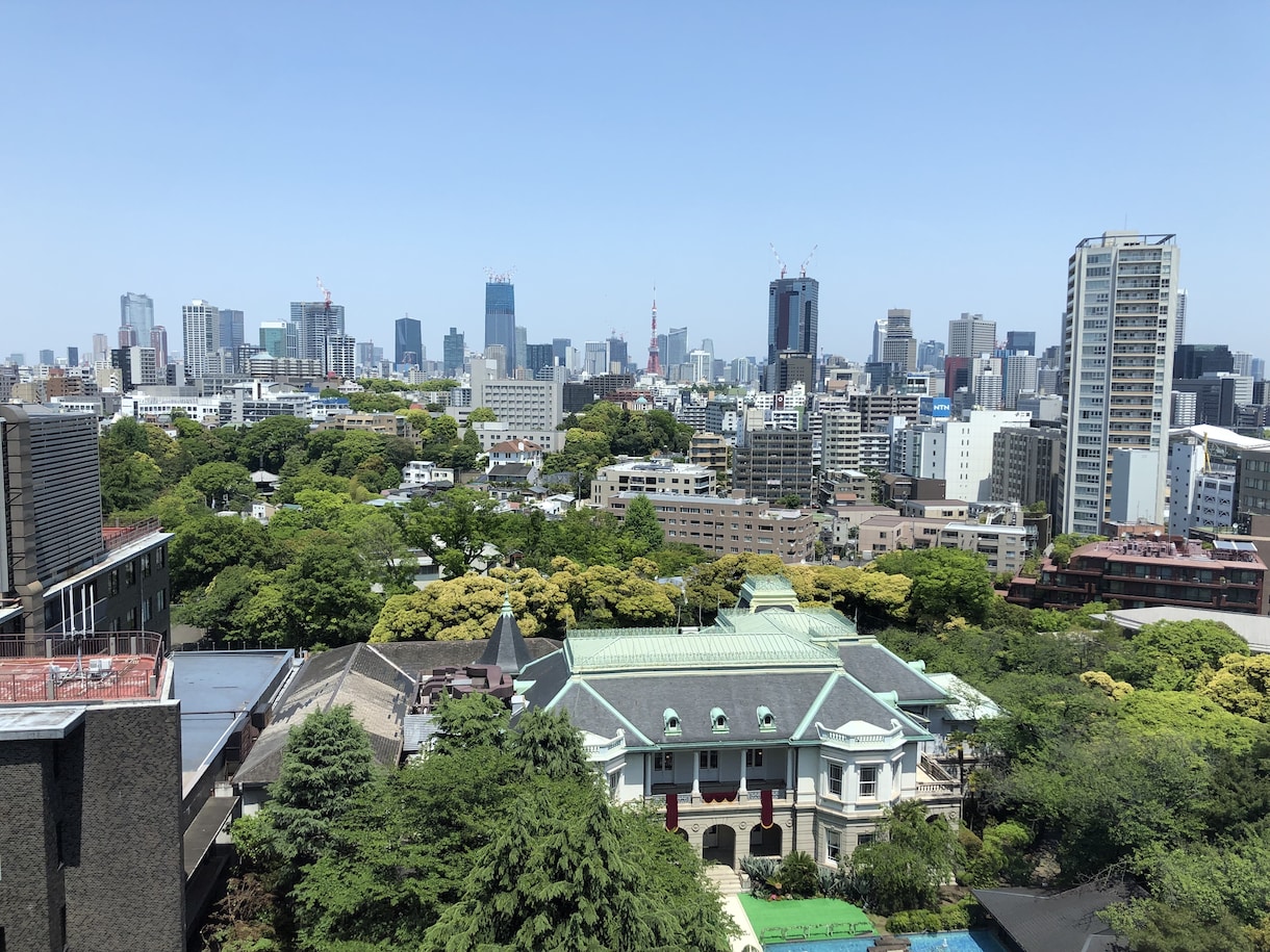 東京限定！オンラインコンシェルジュいたします あなただけのオリジナルTokyo trip イメージ1
