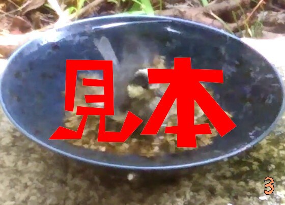 鳥の水浴び写真を提供します 野鳥の水浴びは見てて癒される気がします イメージ2