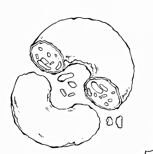 ほっこり！筆ペンで味のある線画イラスト描きます 挿絵やカットイラストにぴったり！ イメージ1