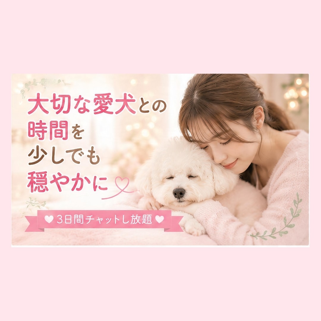 老犬との暮らしや介護のお悩みを一緒に考えます 食事・排泄・寝たきりなど、愛犬の介護をサポートします イメージ5