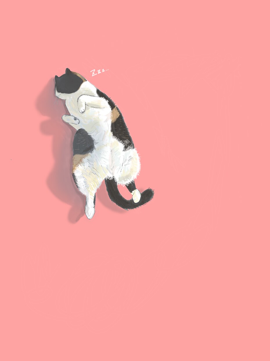 ペットのイラストを描きます 犬・猫・小鳥などあなたのペットをおしゃれに描きます イメージ2