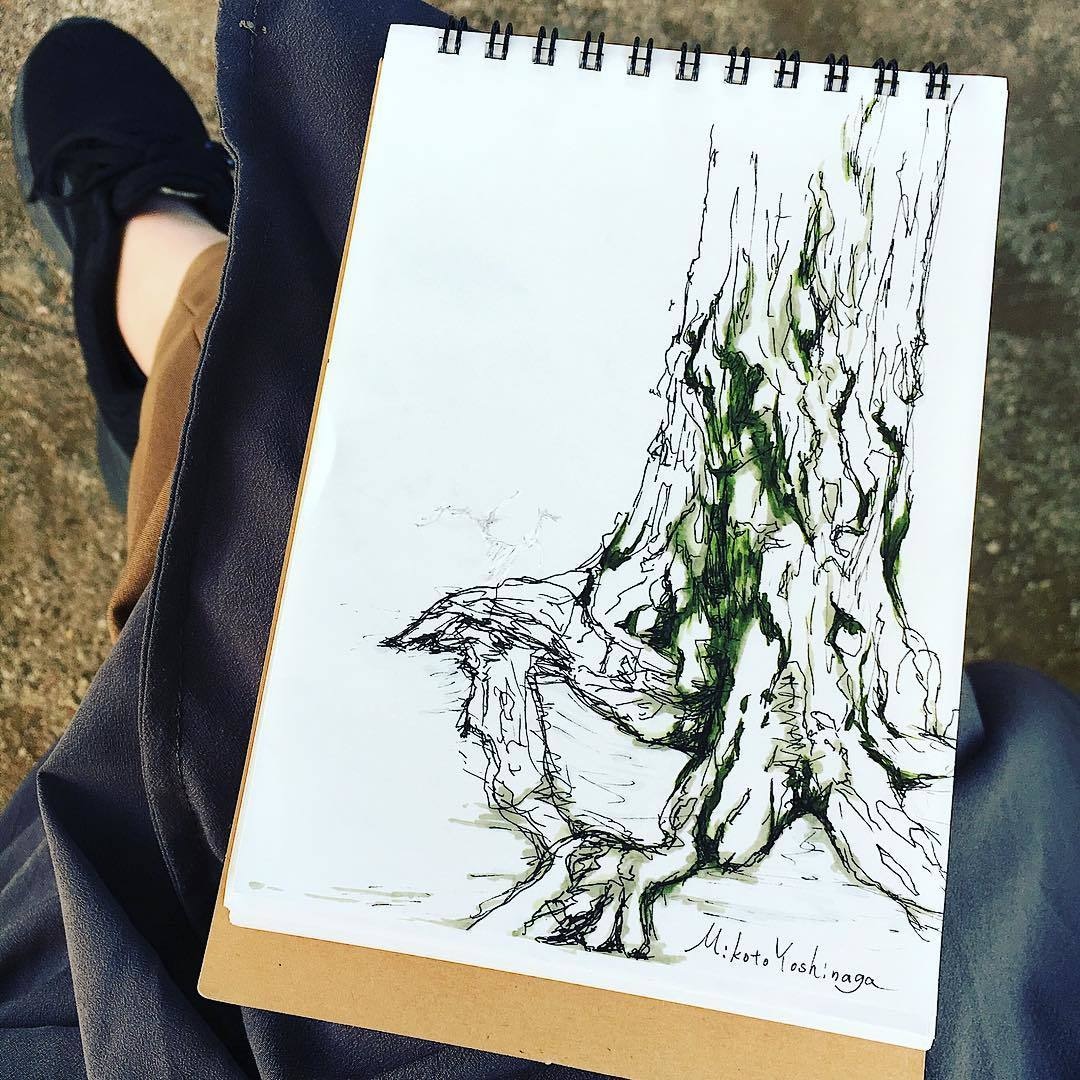 味のある植物のイラスト描きます 植物のある暮らしをまずは絵から始めませんか？ イメージ3