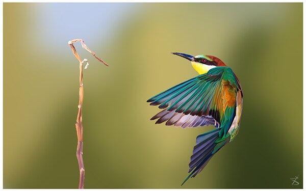 写真からデッサン風塗り絵を描きます 人・家族・ペットの写真からデジタルスケッチ画。 イメージ4