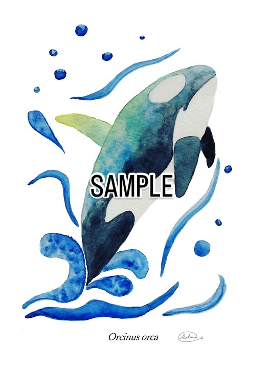くじら、シャチ、魚類等のイラスト描きます 水生生物の絵を描くのが得意です★他サイト様でも販売実績あり★ イメージ2