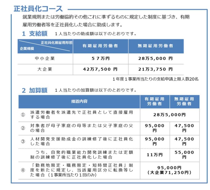 正社員化コースの支給申請書作成方法を教えます 専門家への依頼費にお困りの方に誰でもできる簡単作成・申請方法 イメージ4