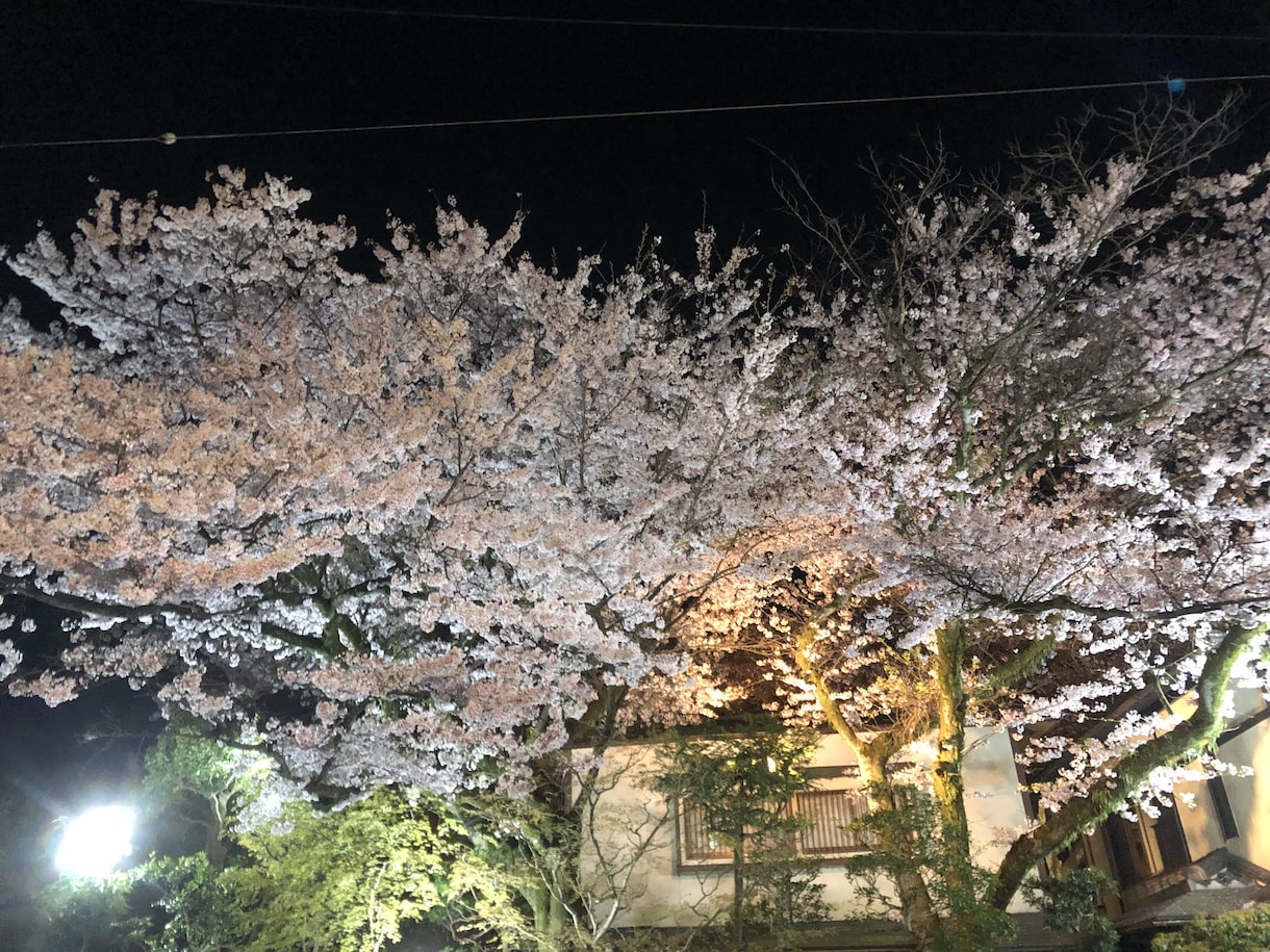 ちょっとした愚痴聞きます 25年間の主婦色々な事ありまして愚痴聞きますよ イメージ1