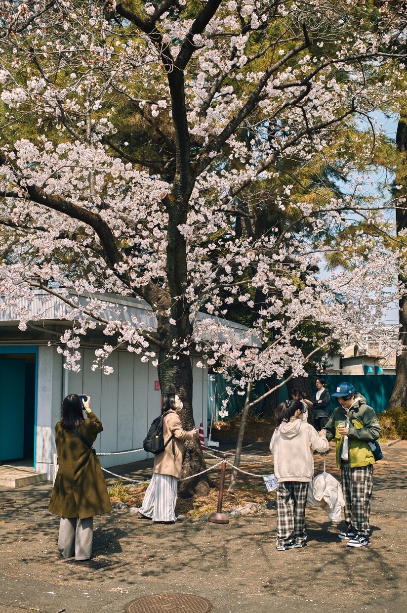 イベント撮影します ○○フェス、〇〇マルシェなどのイベント撮影します。 イメージ7