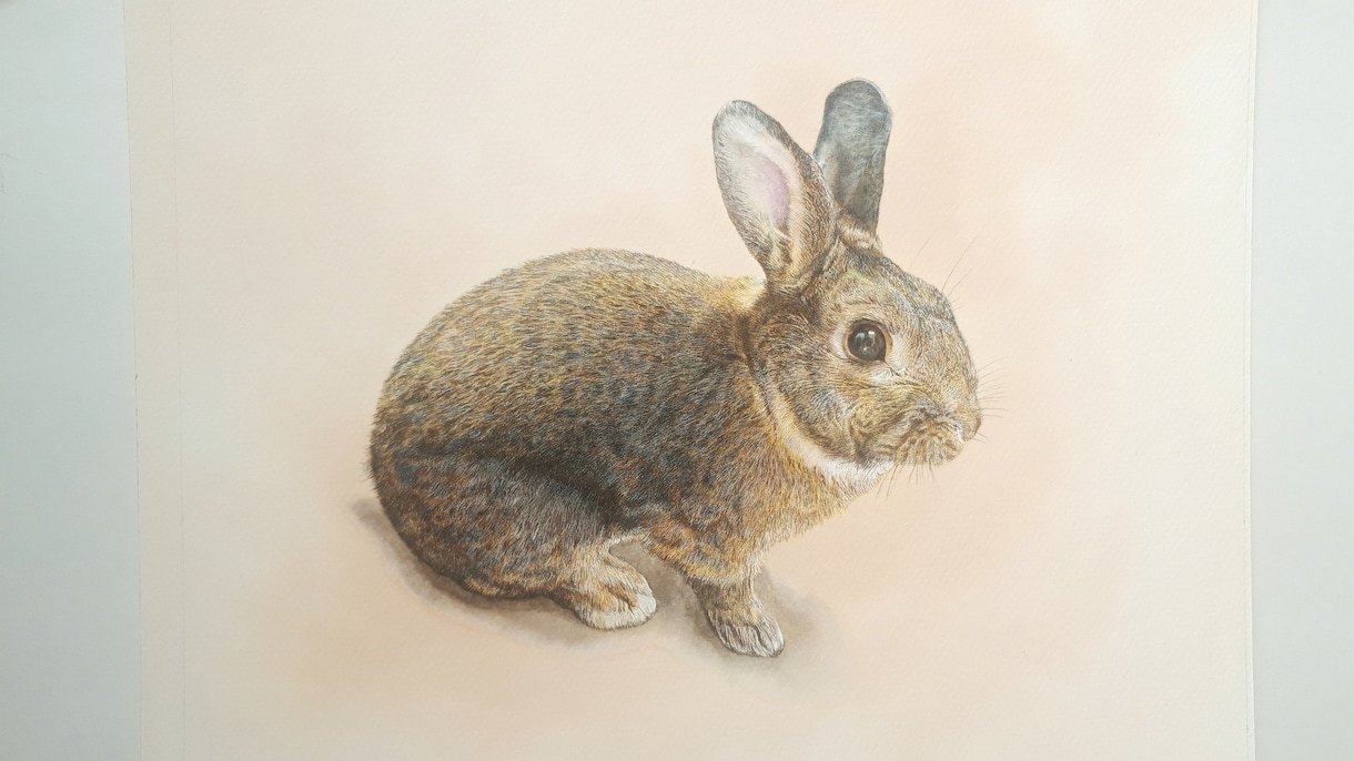 ペットの肖像画を描きます ペンで描きますので、細かい毛並みもリアルに描きます！ イメージ1