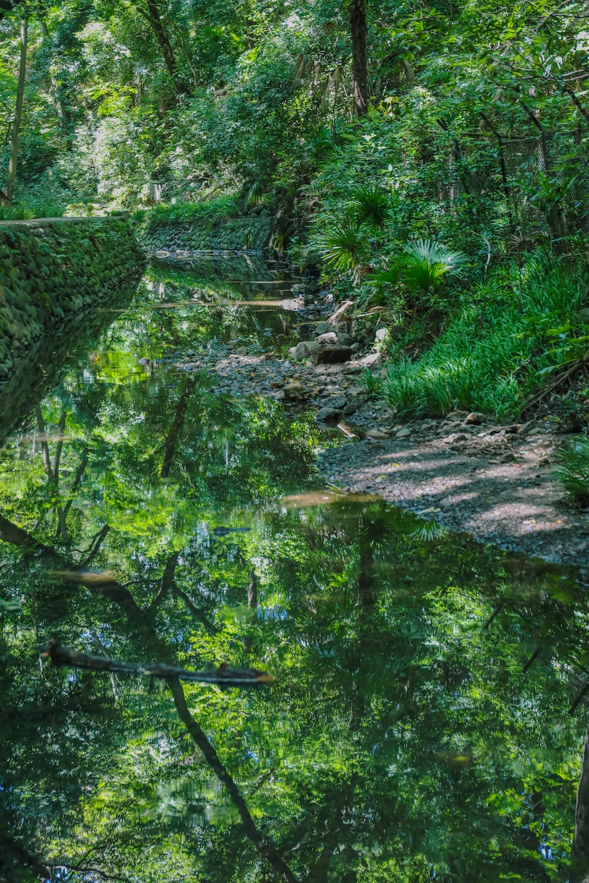 自然の写真を撮ります 癒される自然の写真を撮ります。提供します。 イメージ1