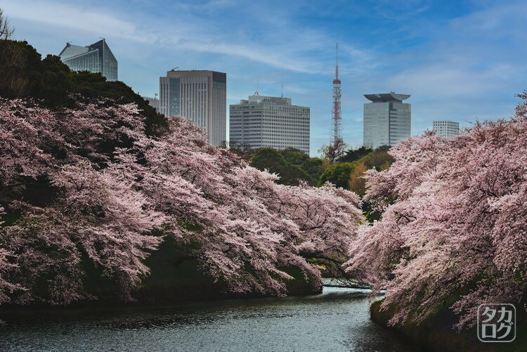 最短1日！曇り空も晴れ空に！！画像編集受け承ります 画像の切り抜き、合成などを最短翌日までに完成させます！ イメージ3