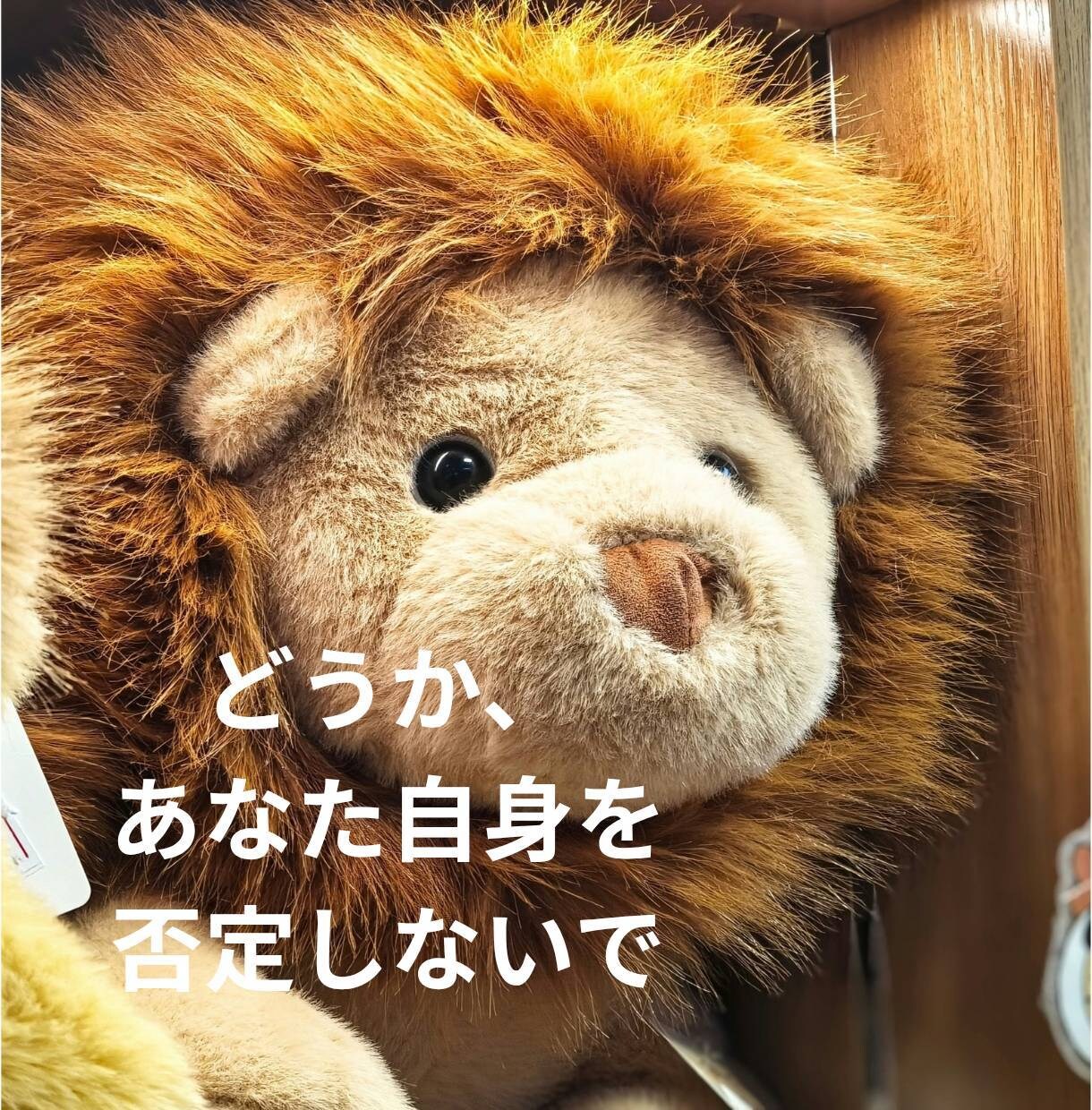 生きづらさを感じるあなたの気持ちをそっとゆるめます 学校や仕事に行けない動けない。そんなあなたの今を肯定する時間 イメージ9